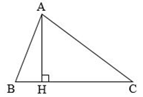 Hình tam giác - Diện tích hình tam giác