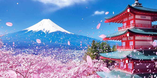 Ngành Nhật Bản học: Chương trình đào tạo và cơ hội nghề nghiệp