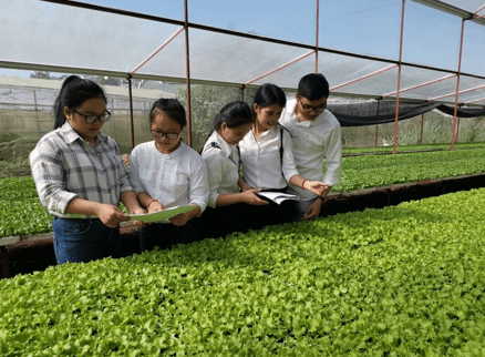 Ngành bảo vệ thực vật là gì? Học bảo vệ thực vật ra làm nghề gì?