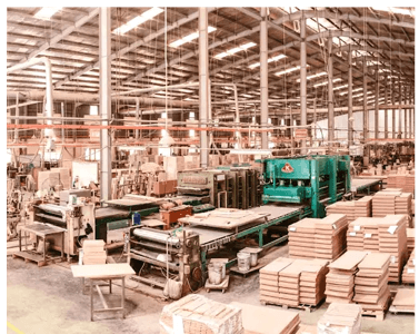 Ngành công nghệ chế biến lâm sản là gì? Học công nghệ chế biến lâm sản ra làm nghề gì