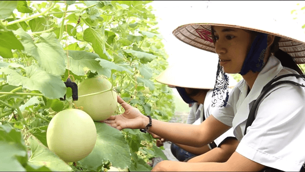 Ngành công nghệ rau hoa quả và cảnh quan là gì? Học công nghệ rau hoa quả và cảnh quan ra làm nghề gì?