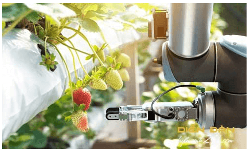 Ngành công nghệ sau thu hoạch là gì? Cơ hội nghề nghiệp của ngành