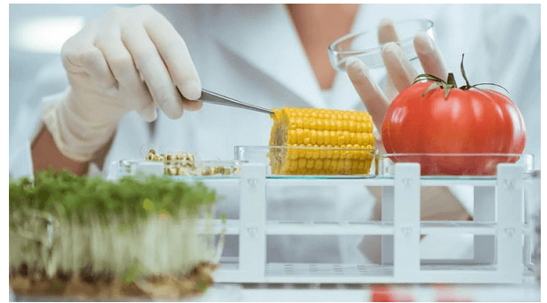 Ngành công nghệ thực phẩm là gì? Học công nghệ thực phẩm ra làm nghề gì