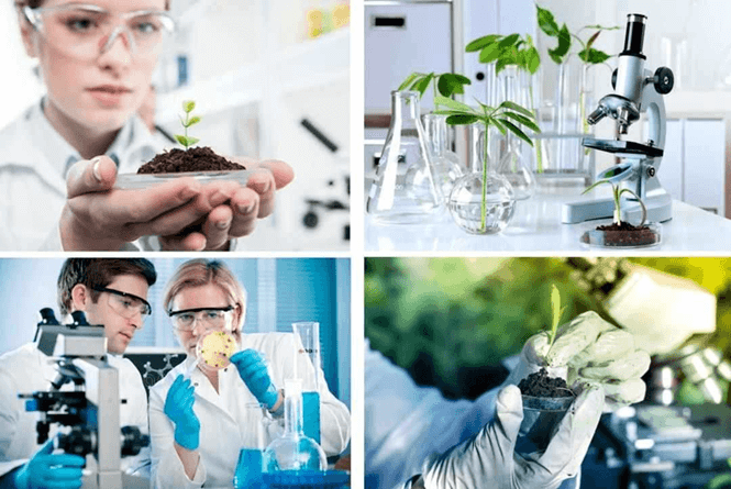 Ngành Khoa học môi trường là gì? Học Khoa học môi trường ra làm nghề gì?