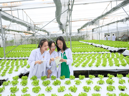 Ngành kinh doanh nông nghiệp là gì? Học kinh doanh nông nghiệp ra làm nghề gì?