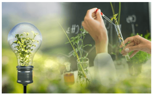 Ngành kỹ thuật môi trường là gì? Học kỹ thuật môi trường ra làm nghề gì