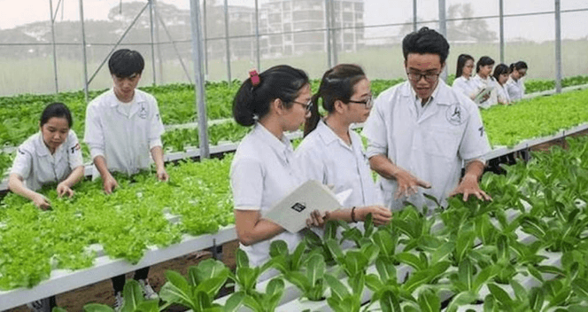 Ngành Nông nghiệp Công nghệ cao: Học gì và làm gì sau khi ra trường