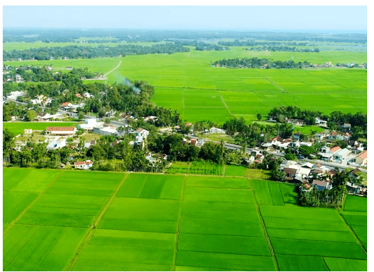 Ngành phát triển nông thôn là gì? Học phát triển nông thôn ra làm nghề gì