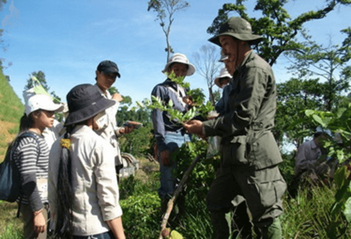 Ngành quản lý tài nguyên rừng là gì? Học quản lý tài nguyên rừng ra làm nghề gì?