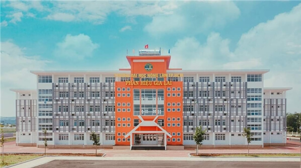 Phân hiệu Trường Đại học Nông lâm TP Hồ Chí Minh tại Gia Lai (năm 2025)