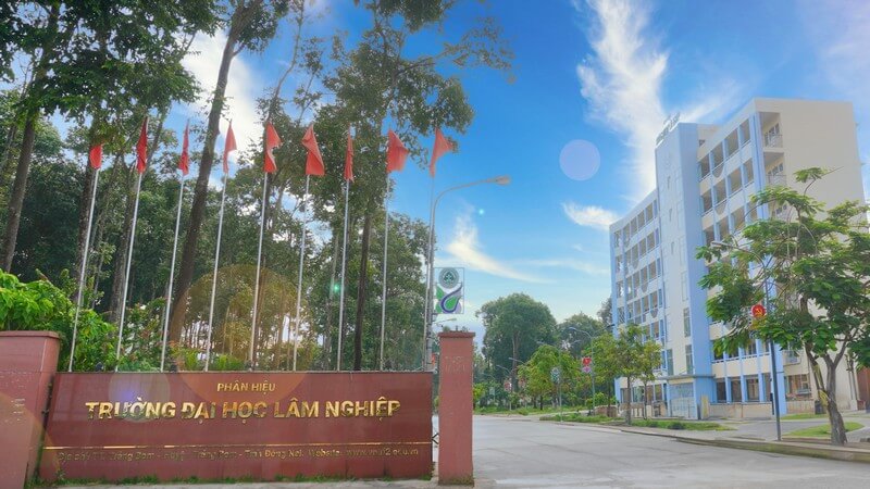 Đại học Lâm nghiệp (Cơ sở 2) (năm 2024)