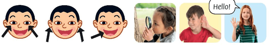 Tiếng Anh lớp 1 Family and Friends Fluency Time 1 Lesson two (trang 29)
