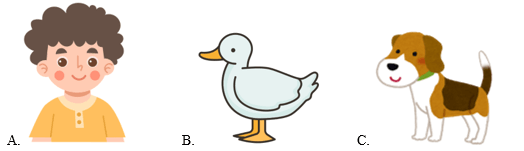 Trắc nghiệm Tiếng Anh lớp 1 Family and Friends Unit 1 Phonetics and Vocabulary (có đáp án)