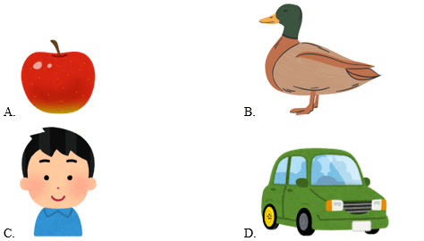 Trắc nghiệm Tiếng Anh lớp 1 Family and Friends Unit 1 Phonetics and Vocabulary (có đáp án)