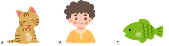 Trắc nghiệm Tiếng Anh lớp 1 Family and Friends Unit 2 (có đáp án): What's this?