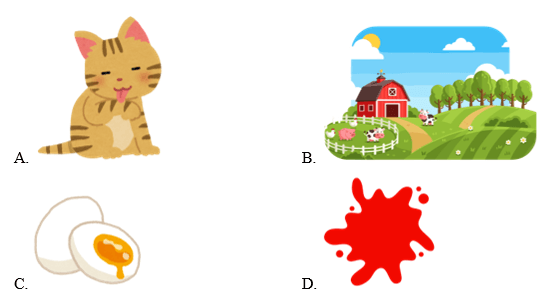 Trắc nghiệm Tiếng Anh lớp 1 Family and Friends Unit 2 (có đáp án): What's this?