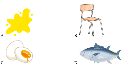 Trắc nghiệm Tiếng Anh lớp 1 Family and Friends Unit 2 (có đáp án): What's this?