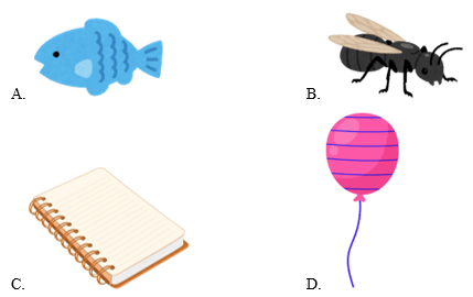 Trắc nghiệm Tiếng Anh lớp 1 Family and Friends Unit 3 Phonetics and Vocabulary (có đáp án)