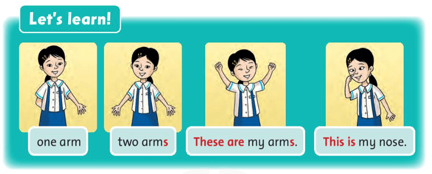 Tiếng Anh lớp 1 Family and Friends Unit 5 Lesson two (trang 37)