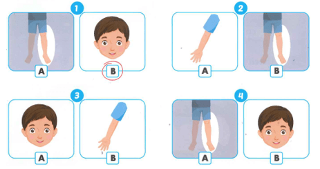 Tiếng Anh lớp 1 Smart Start Review 4 (trang 31)