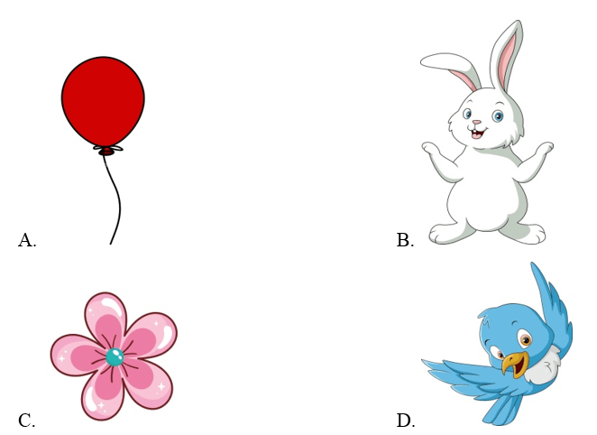 Trắc nghiệm Tiếng Anh lớp 1 Smart Start Unit 3 Phonetics and Vocabulary (có đáp án)