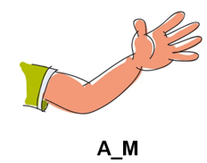 Trắc nghiệm Tiếng Anh lớp 1 Smart Start Unit 4 Phonetics and Vocabulary (có đáp án)