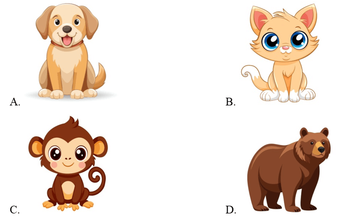 Trắc nghiệm Tiếng Anh lớp 1 Smart Start Unit 5 Phonetics and Vocabulary (có đáp án)