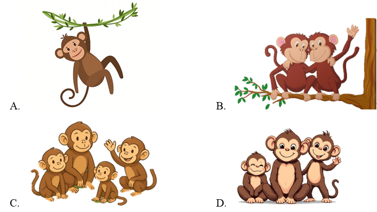 Trắc nghiệm Tiếng Anh lớp 1 Smart Start Unit 7 Phonetics and Vocabulary (có đáp án)