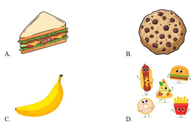 Trắc nghiệm Tiếng Anh lớp 1 Smart Start Unit 8 Phonetics and Vocabulary (có đáp án)