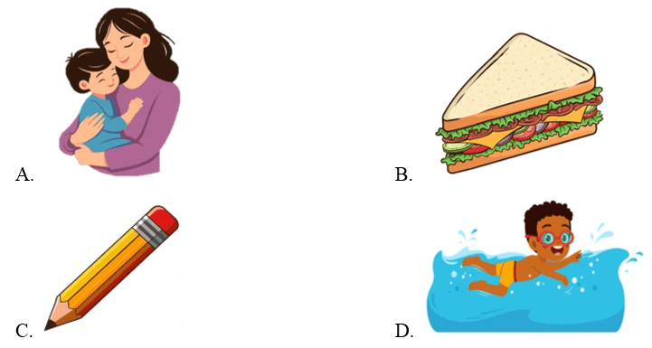 Trắc nghiệm Tiếng Anh lớp 1 Smart Start Unit 8 Phonetics and Vocabulary (có đáp án)