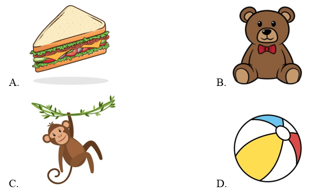 Trắc nghiệm Tiếng Anh lớp 1 Smart Start Unit 9 Phonetics and Vocabulary (có đáp án)