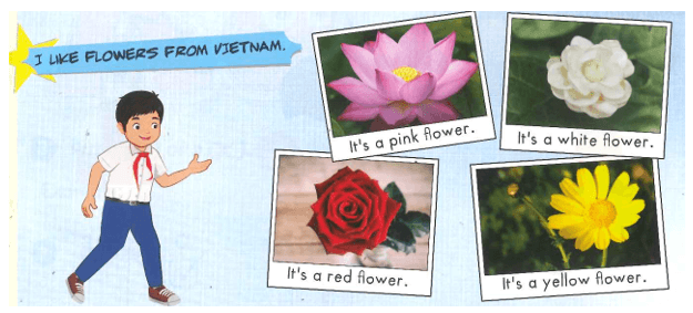 Tiếng Anh lớp 1 Smart Start Unit 3 Lesson 3 (trang 24, 25)