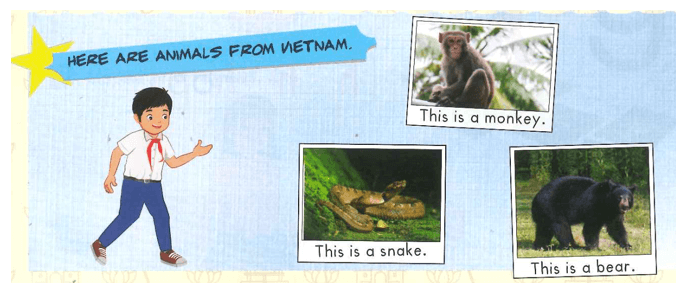 Tiếng Anh lớp 1 Smart Start Unit 5 Lesson 3 (trang 36, 37)