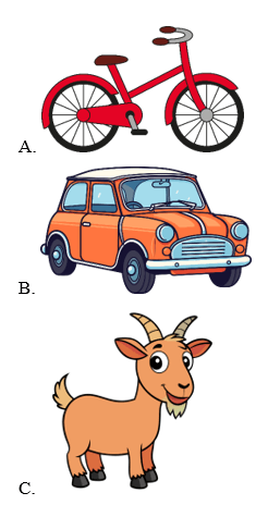 Trắc nghiệm Tiếng Anh lớp 1 Global Success Unit 7 Phonetics & Vocabulary (có đáp án)