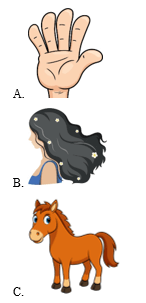 Trắc nghiệm Tiếng Anh lớp 1 Global Success Unit 8 Phonetics & Vocabulary (có đáp án)