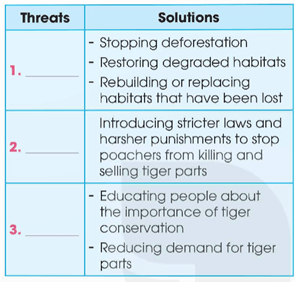 Tiếng Anh 12 Unit 8 Writing (trang 108) | Tiếng Anh 12 Global Success