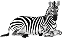 Trắc nghiệm Tiếng Anh lớp 2 Family and Friends Unit 5 Phonetics and Vocabulary (có đáp án)