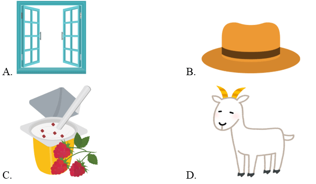Trắc nghiệm Tiếng Anh lớp 2 Smart Start Unit 9 Phonetics and Vocabulary (có đáp án)