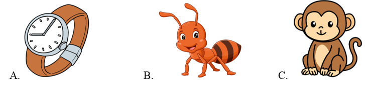 Trắc nghiệm Tiếng Anh lớp 2 Smart Start Unit 9 Phonetics and Vocabulary (có đáp án)