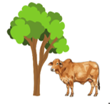 Trắc nghiệm Tiếng Anh lớp 2 Global Success Unit 10 Vocabulary & Sentence patterns (có đáp án)