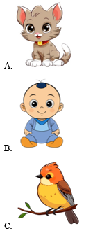 Trắc nghiệm Tiếng Anh lớp 2 Global Success Unit 2 Vocabulary & Sentence patterns (có đáp án)