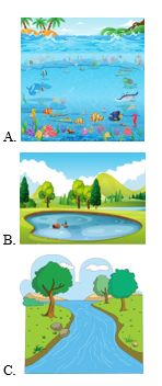 Trắc nghiệm Tiếng Anh lớp 2 Global Success Unit 4 Listening (có đáp án)