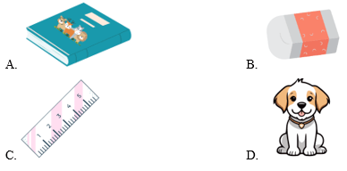 Trắc nghiệm Tiếng Anh lớp 3 Family and Friends Unit 2 Phonetics and Vocabulary (có đáp án)