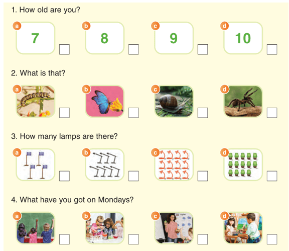 Tiếng Anh lớp 3 Guess What! End-of-term Test 1