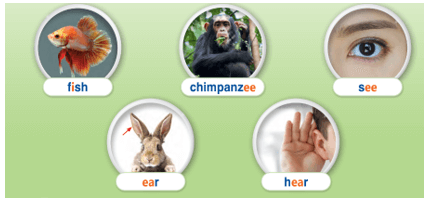 Tiếng Anh lớp 3 Guess What! Unit 1 Lesson 9: Animal Sounds (trang 30)