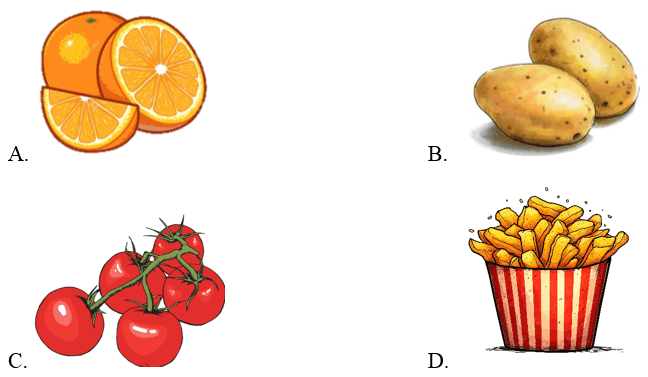  Trắc nghiệm Tiếng Anh lớp 3 Smart Start Unit 8 Phonetics & Vocabulary (có đáp án)