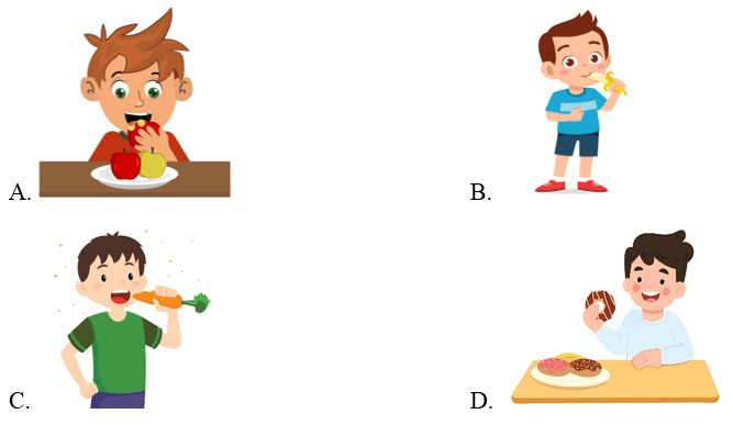  Trắc nghiệm Tiếng Anh lớp 3 Smart Start Unit 8 Phonetics & Vocabulary (có đáp án)