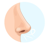 Trắc nghiệm Tiếng Anh lớp 3 Global Success Unit 4 (có đáp án): Our bodies