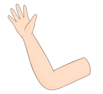 Trắc nghiệm Tiếng Anh lớp 3 Global Success Unit 4 (có đáp án): Our bodies