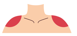 Trắc nghiệm Tiếng Anh lớp 3 Global Success Unit 4 (có đáp án): Our bodies